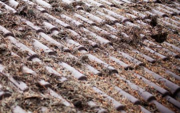 Vatten roof cleaning companies