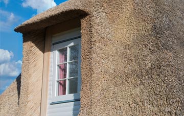 Vatten thatch roof disadvantages