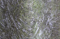 Vatten fibreglass roof work